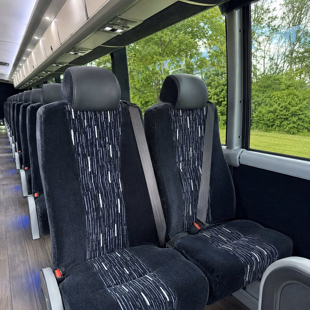 bachelorette party bus rentals in davie florida